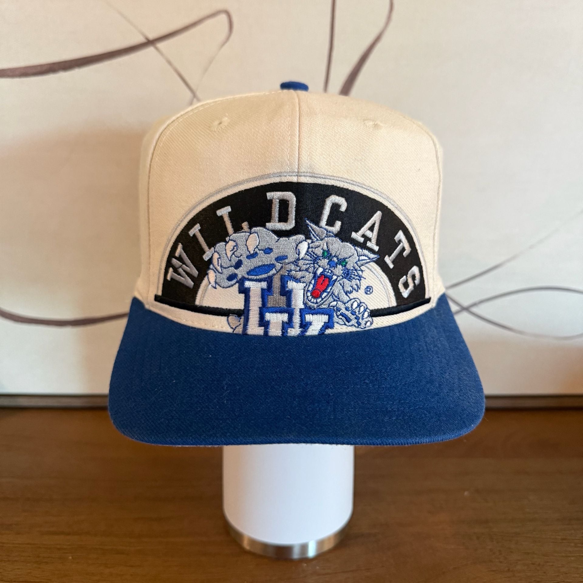 Vintage Apex University Of Kentucky Wildcats Snapback Hat